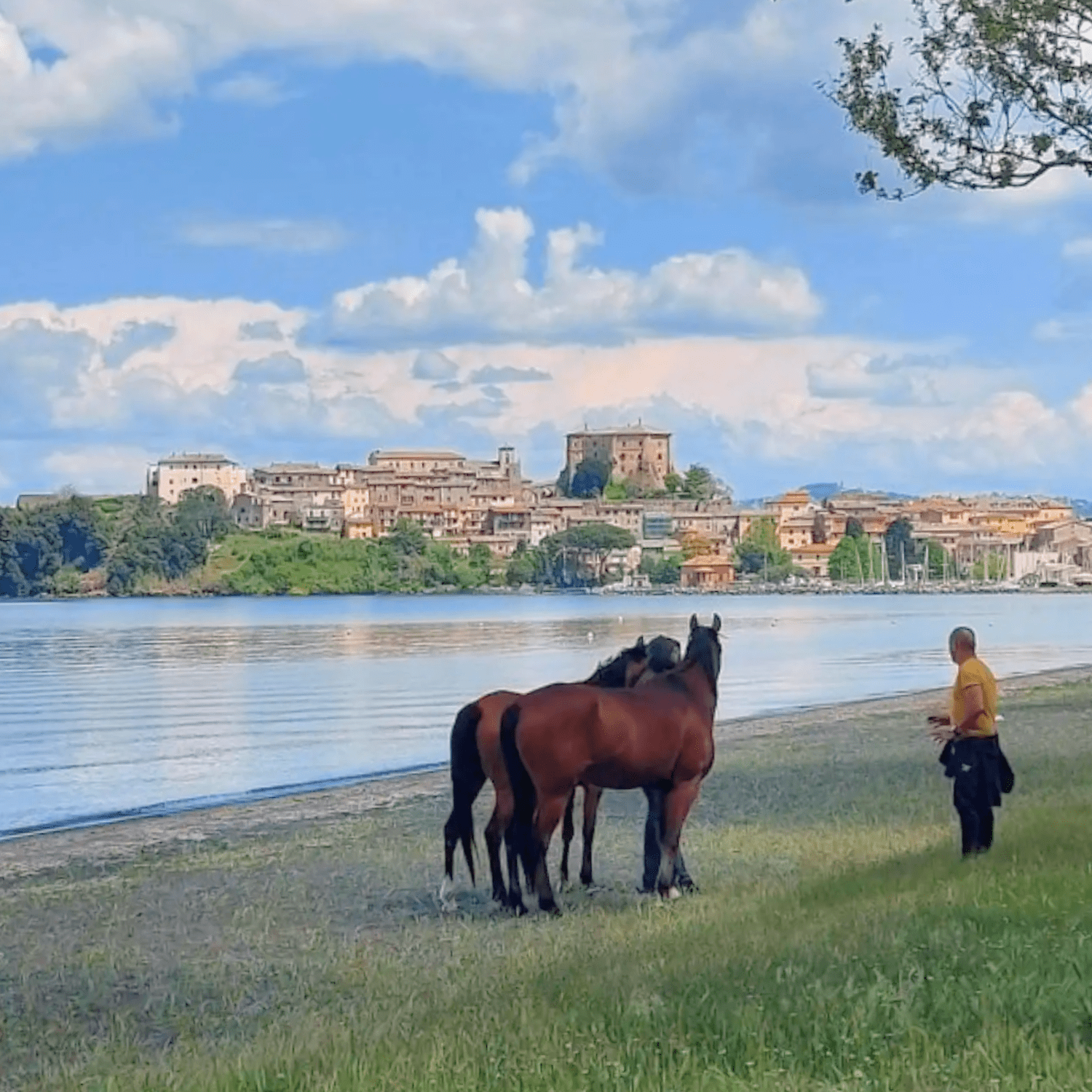 Il Podere di Marfisa - contenuto social agosto 2025