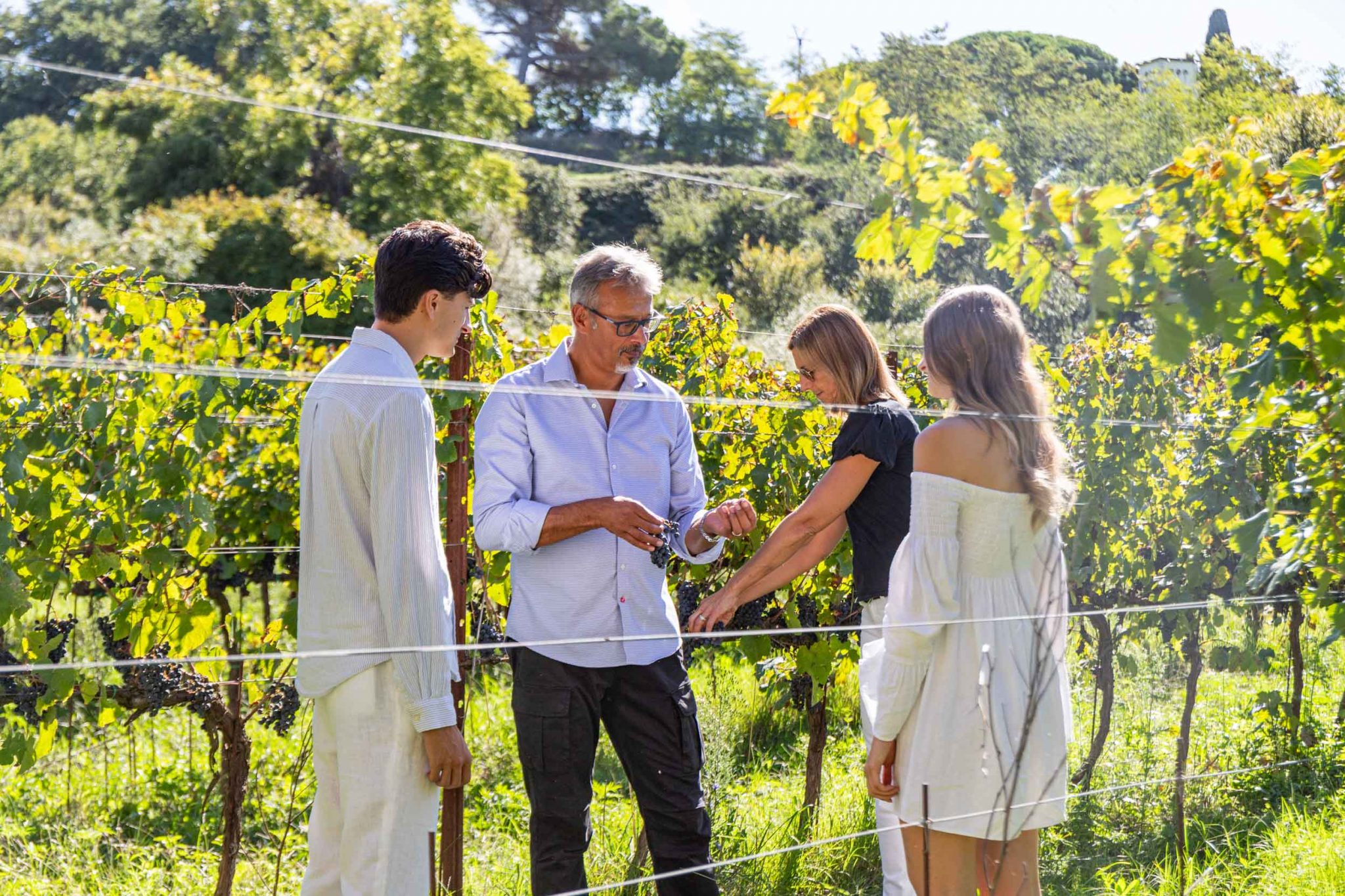 Il Podere di Marfisa in autunno - vendemmia nella Tuscia