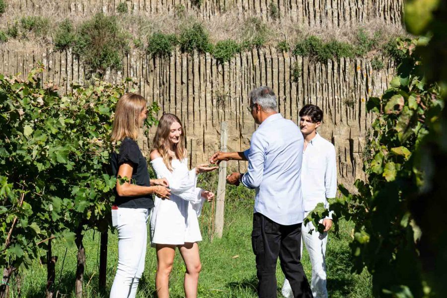 Il Podere di Marfisa in autunno - vendemmia nella Tuscia